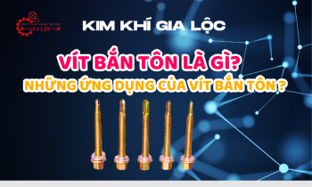 VÍT BẮN TÔN LÀ GÌ? NHỮNG ỨNG DỤNG TRONG THỰC TIỄN CỦA VÍT BẮN TÔN